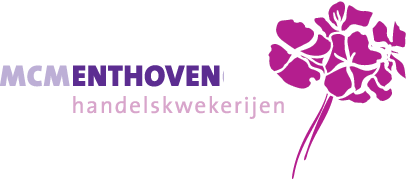 MCM Enthoven Logo